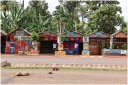 Tanzanie (Safari)